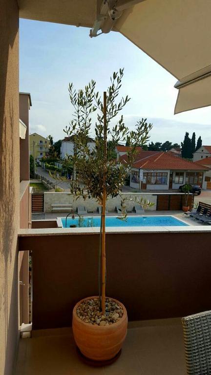 Antonija Apartments With Pool Biograd Na Moru Extérieur photo